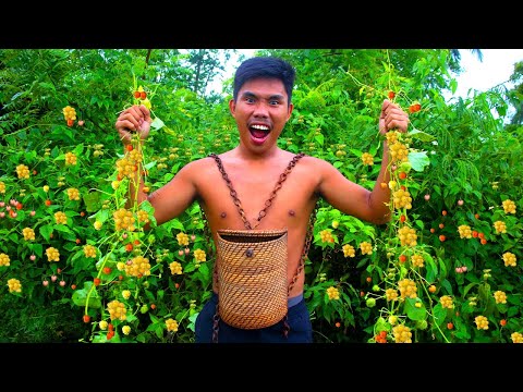 WOW! Amazing Wild Fruit (UTOT-UTOT) Eating Delicious | Mouth Watering 🤤😍